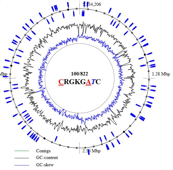 Example genome output.png